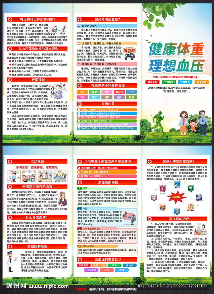 2025全国高血压日宣传单