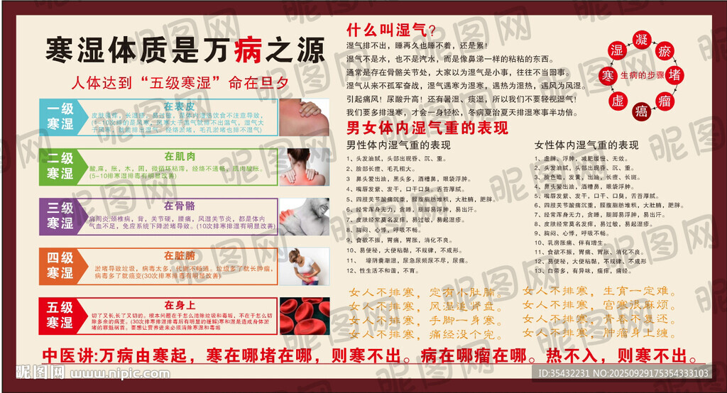 寒湿体质展板海报