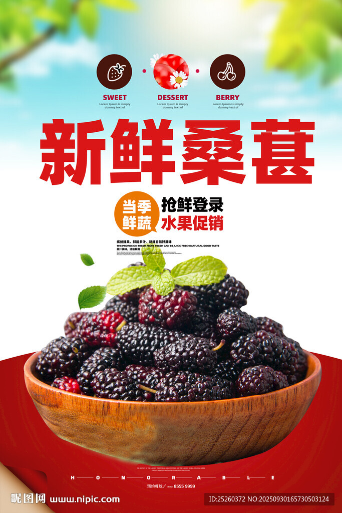 桑葚