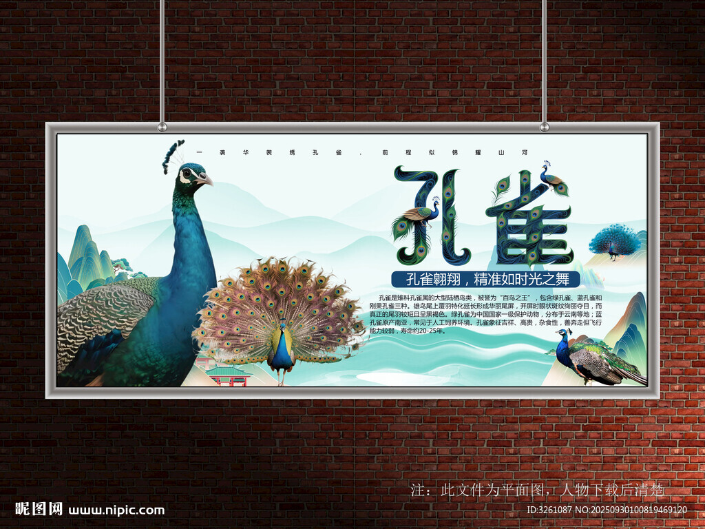 孔雀