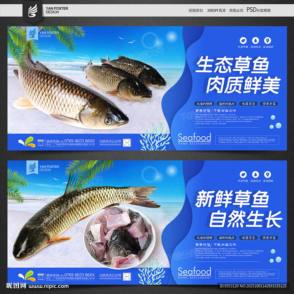 草鱼