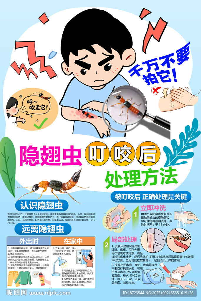 隐翅虫叮咬后处理方法