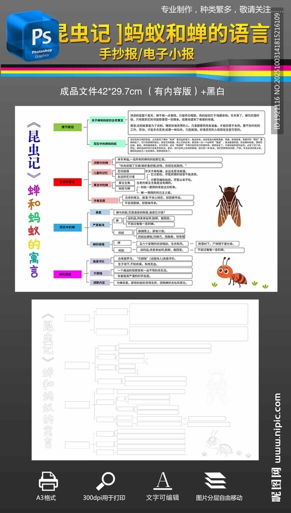 昆虫记蚂蚁和蝉的寓言思维导图
