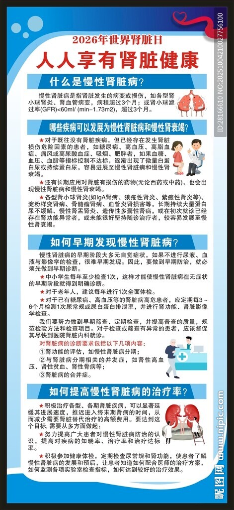 世界肾脏日展架