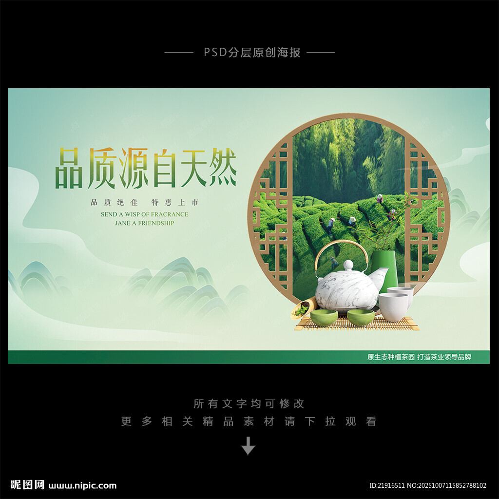 茶叶海报