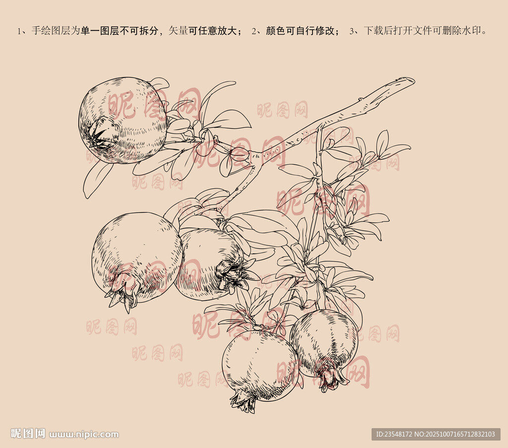 石榴