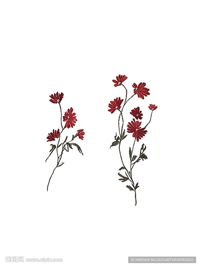 刺绣花 数码印花