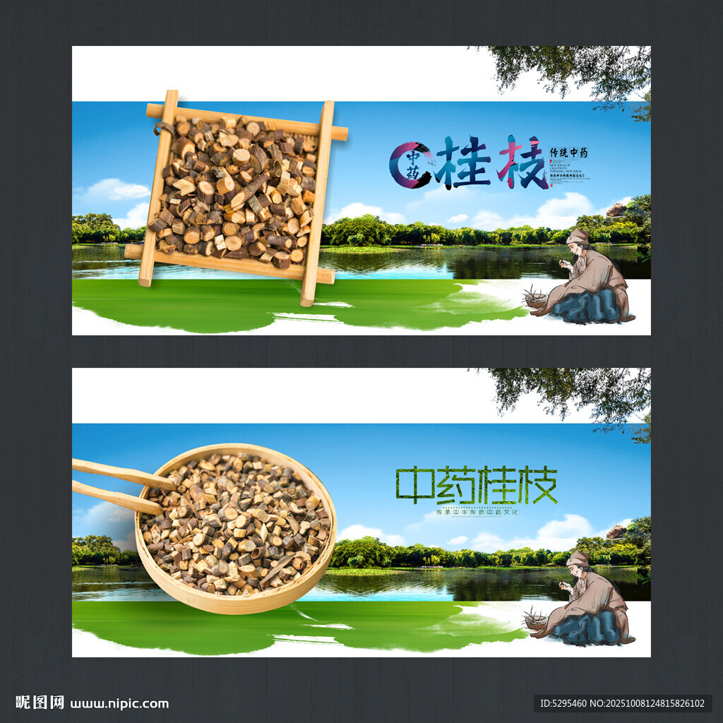 桂枝