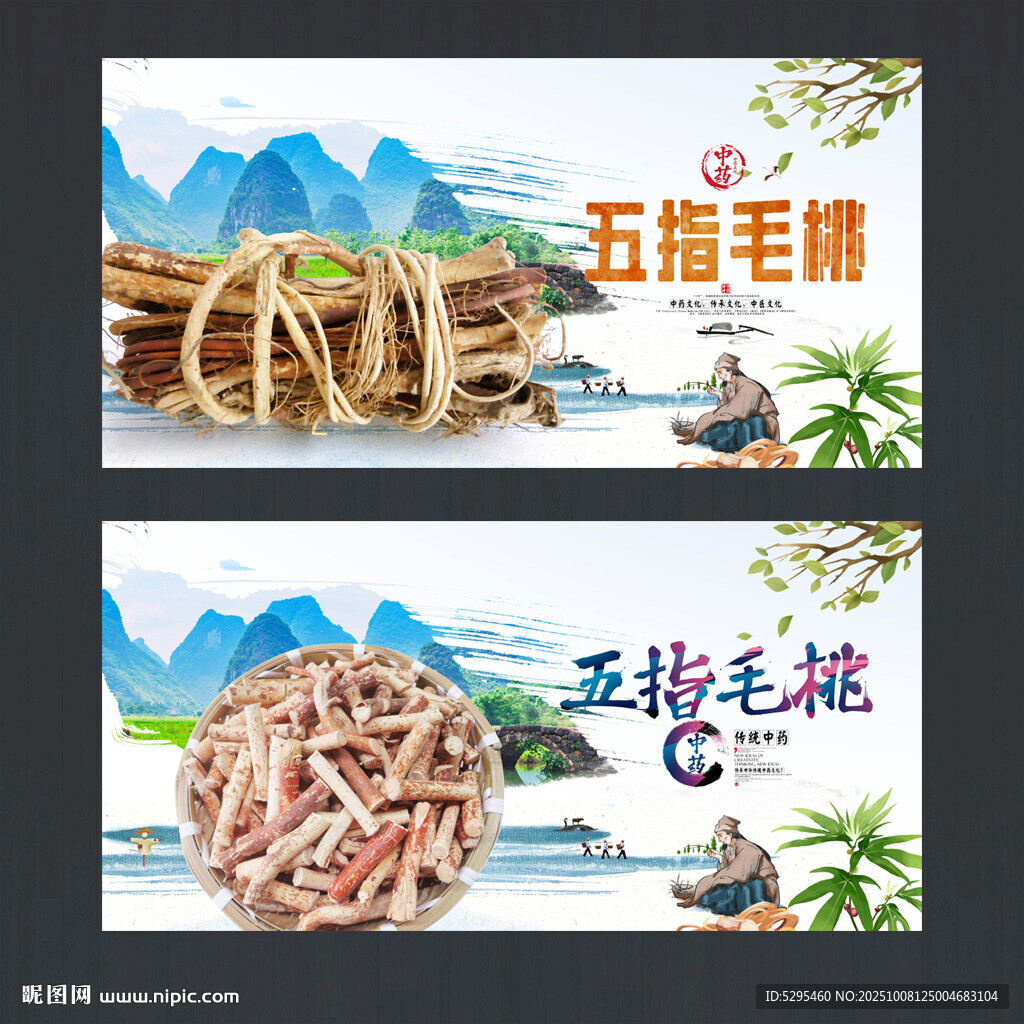五指毛桃