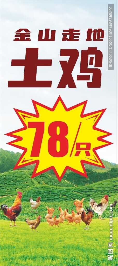 土鸡