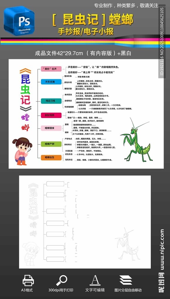 昆虫记思维导图螳螂观察小报