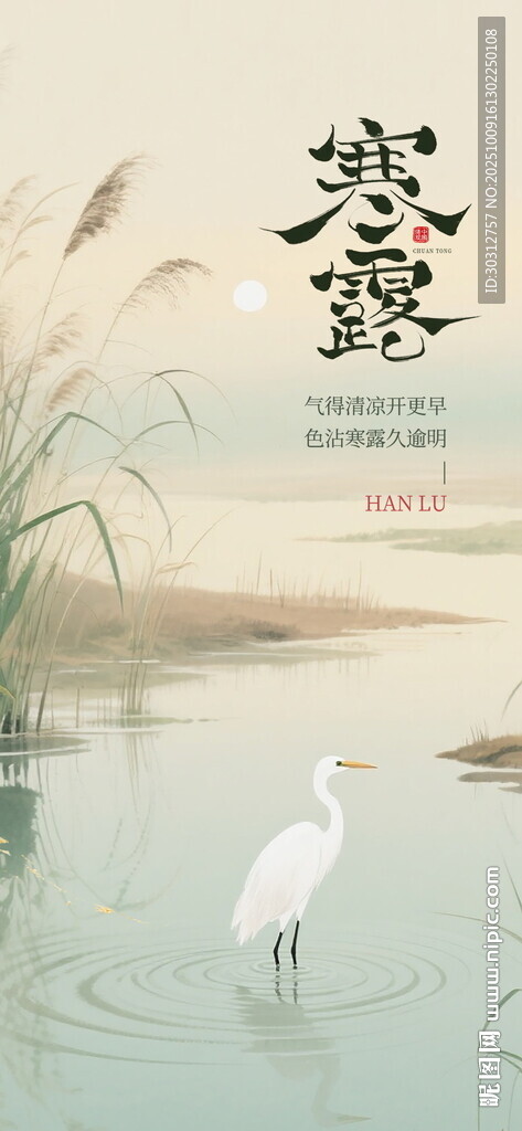 白鹭于水边悠然之景