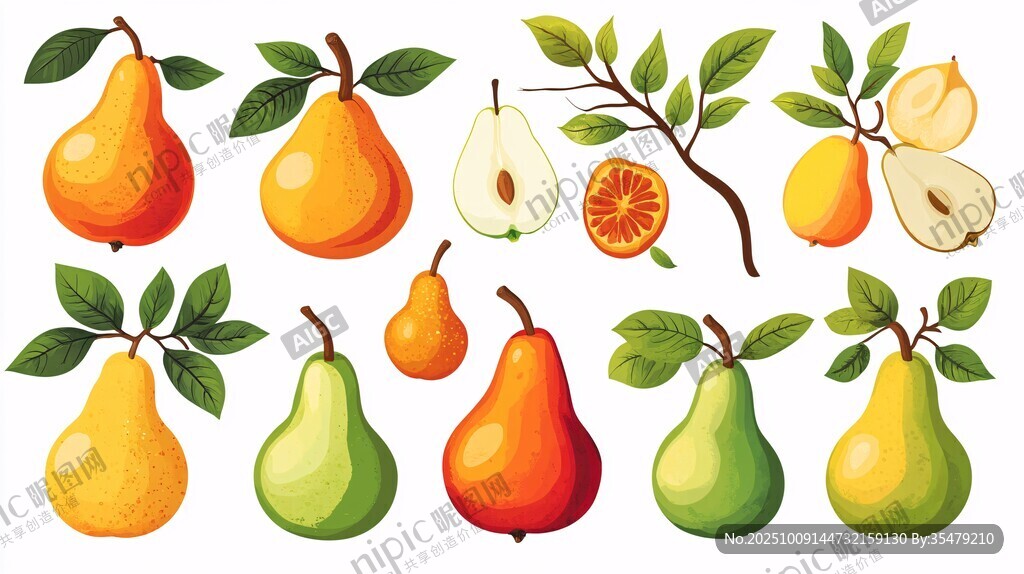 多样梨子插画集合