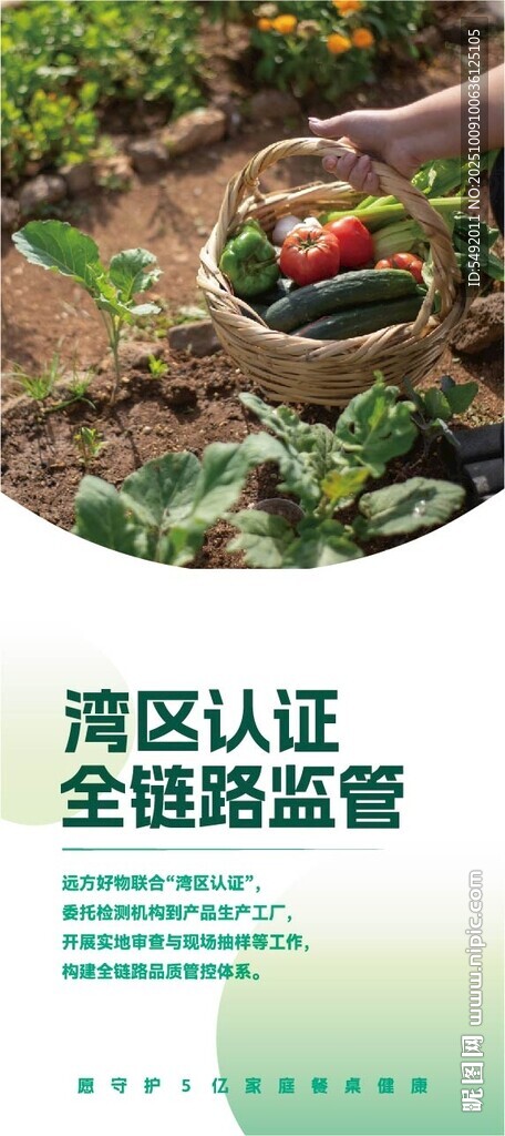 有机蔬菜种植场景展示