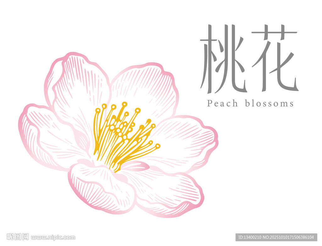 手绘清新桃花插画