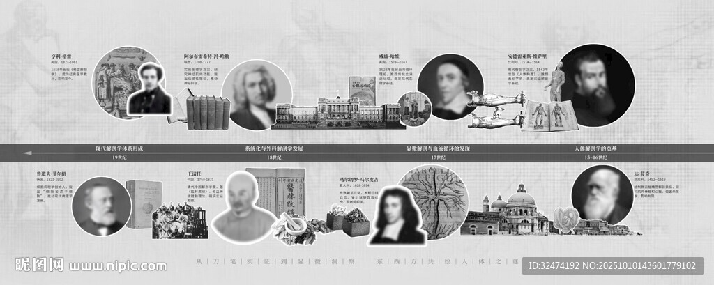 近代解剖学发展史