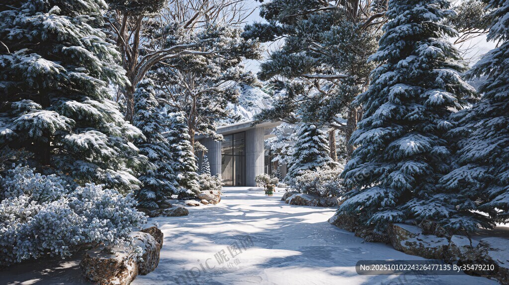雪覆林间小屋静谧景致