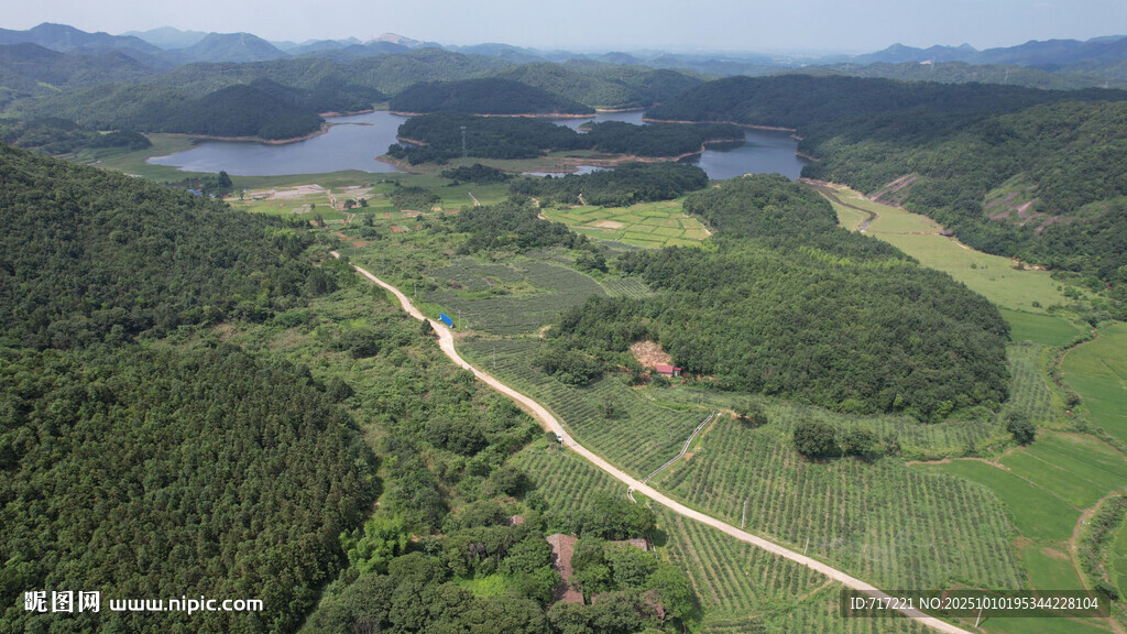俯瞰翠绿山林与蜿蜒小路