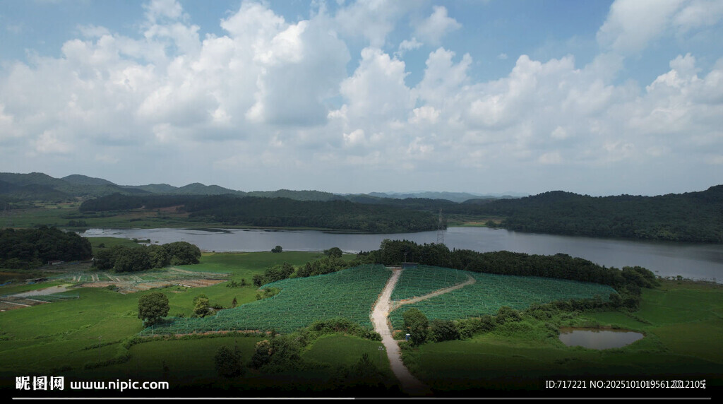 田园河畔风光美景