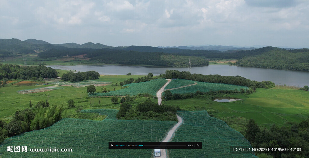 田园风光中的蜿蜒小路