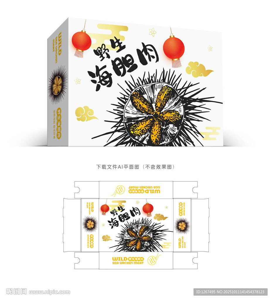 海胆肉设计