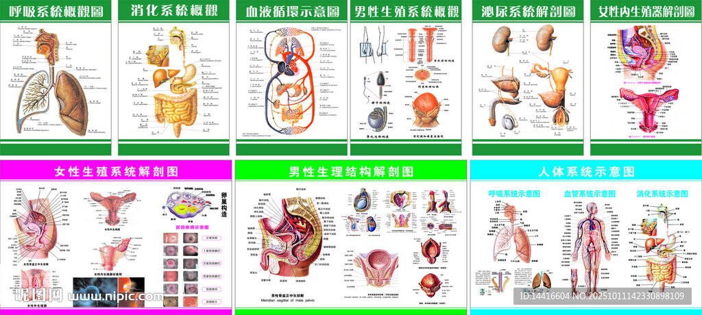 卡通人物插画素材集合