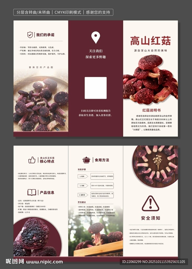 高山红菌宣传折页设计