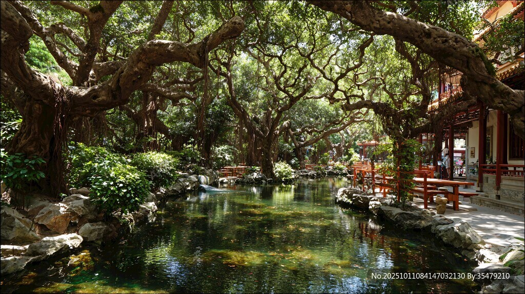 古树下的清幽中式水景