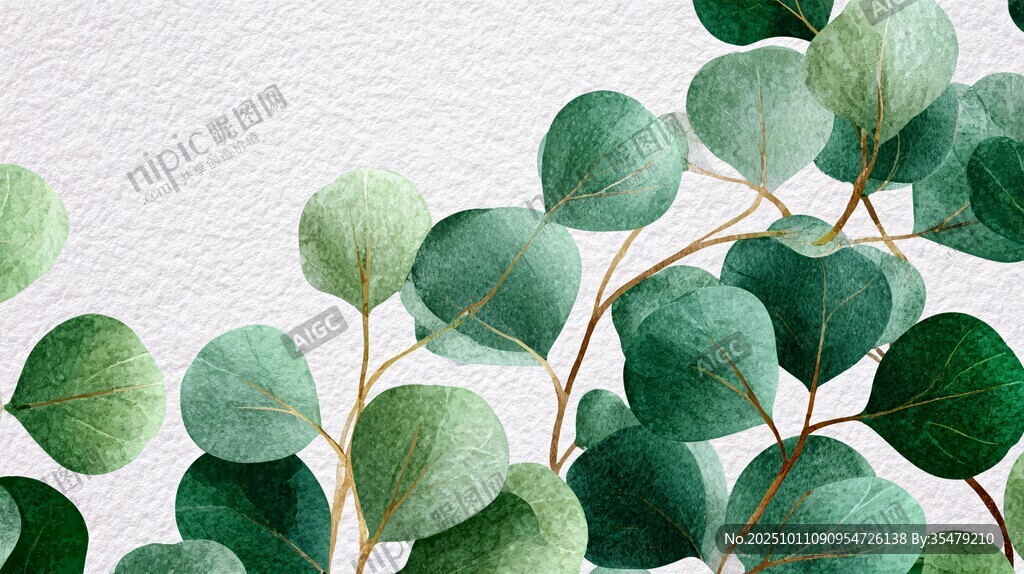 清新桉树叶水彩插画