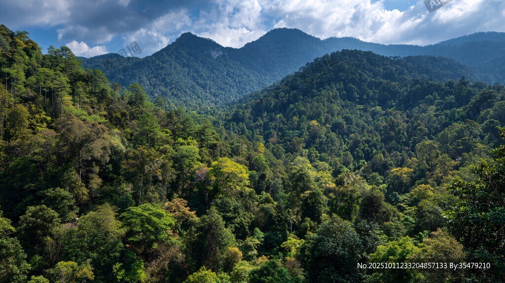 青山翠谷间的自然盛景
