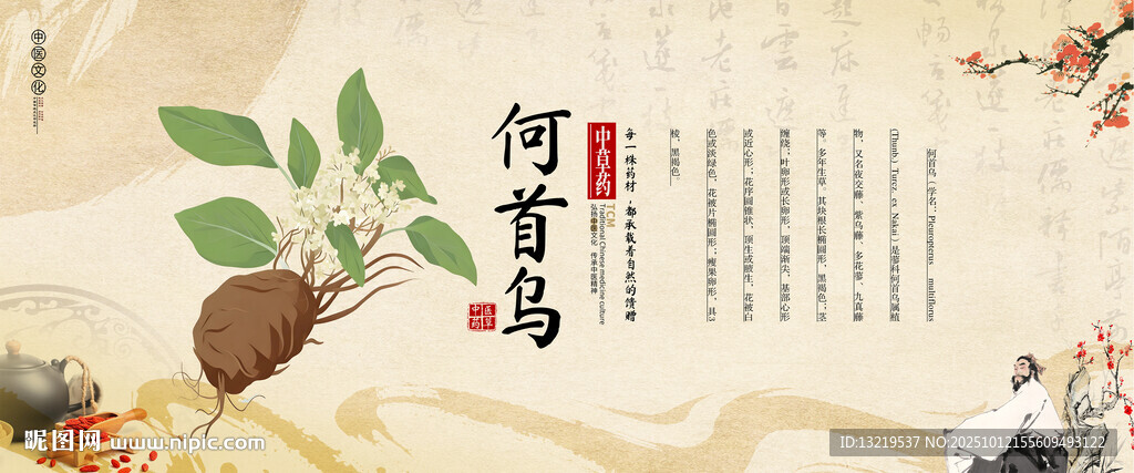 何首乌