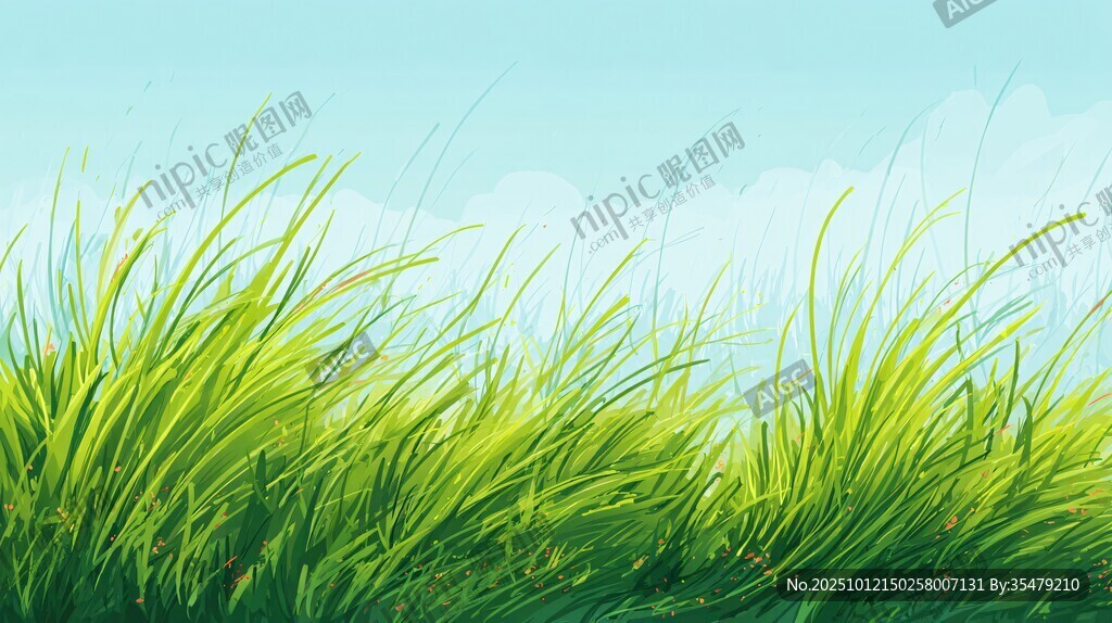 清新绿草蓝天自然美景