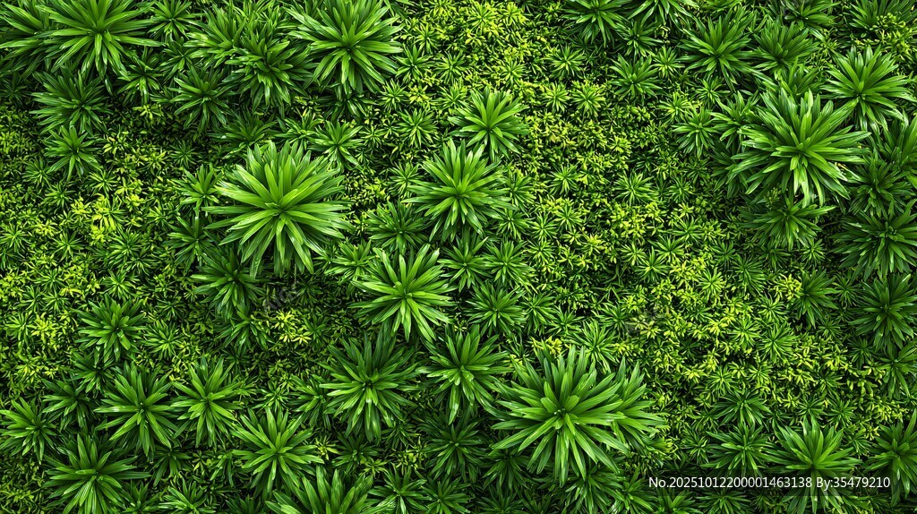 翠绿繁茂的植物墙景观