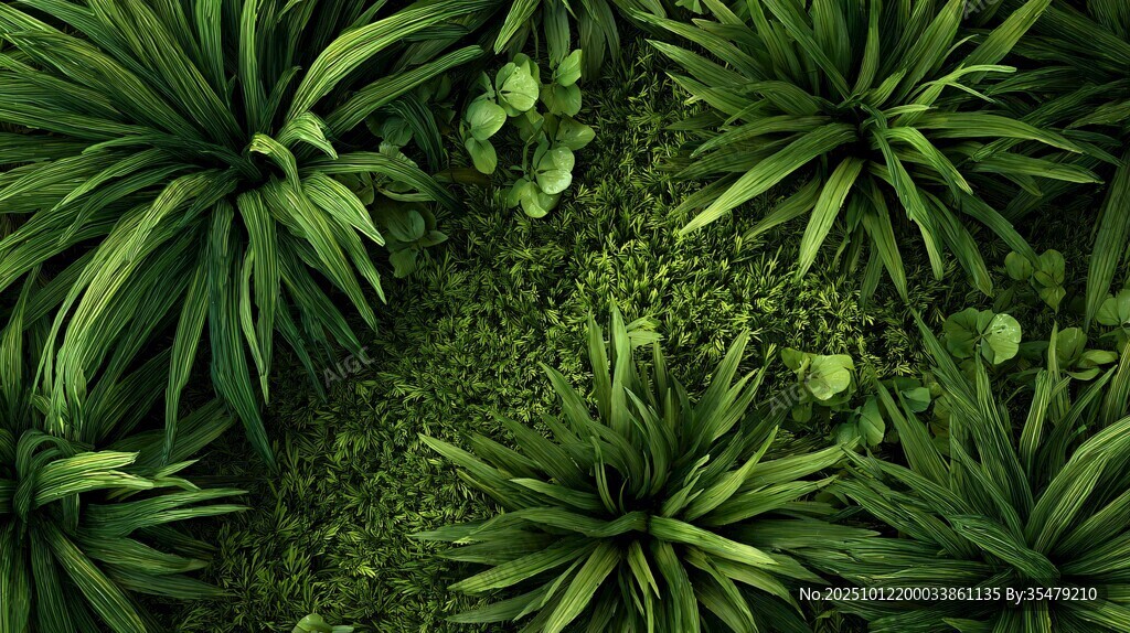 繁茂绿植 生机盎然的景象