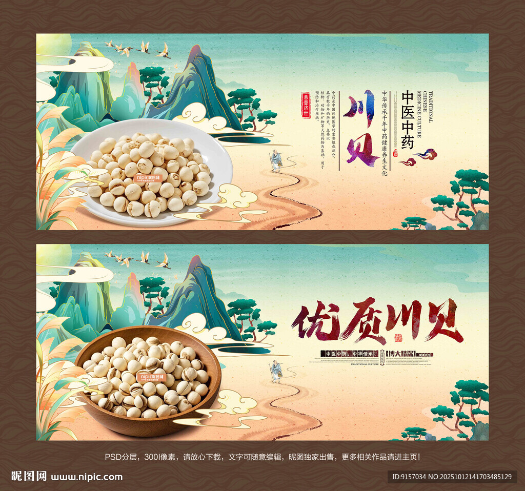 川贝海报