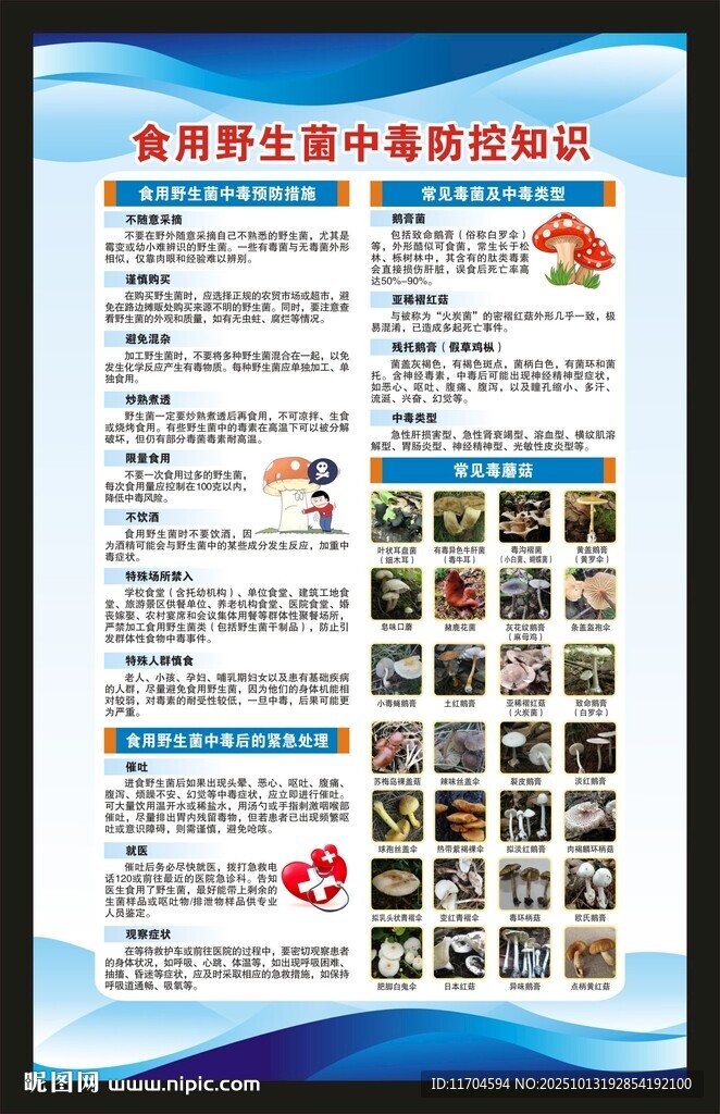 预防毒蘑菇中毒知识海报
