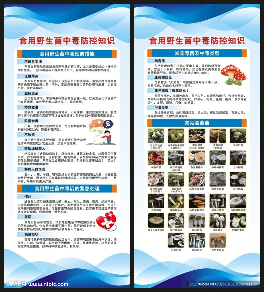 预防毒蘑菇中毒知识展架