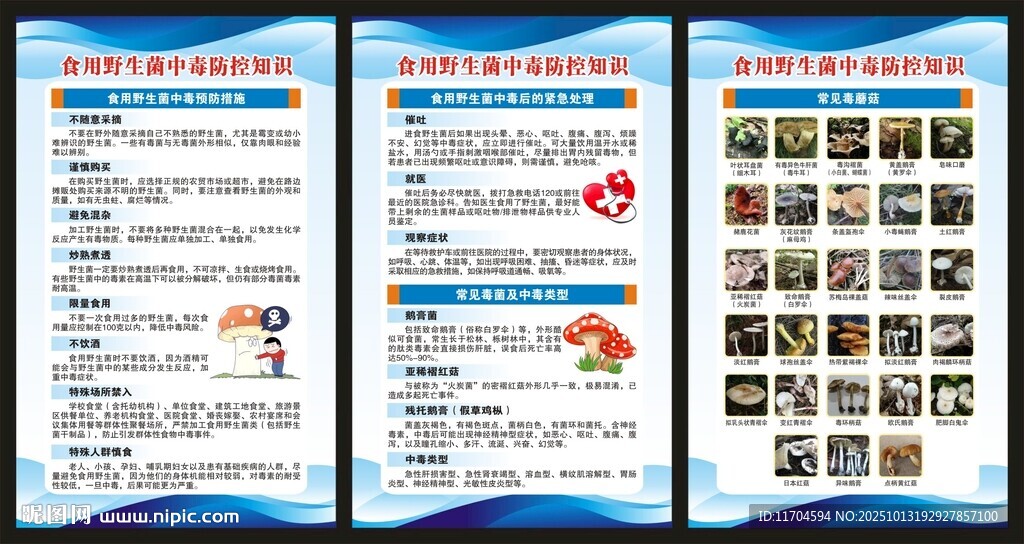 预防毒蘑菇中毒知识展板