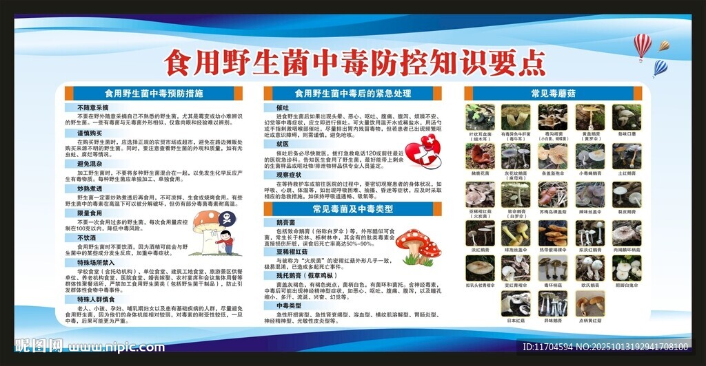 预防毒蘑菇中毒知识宣传栏