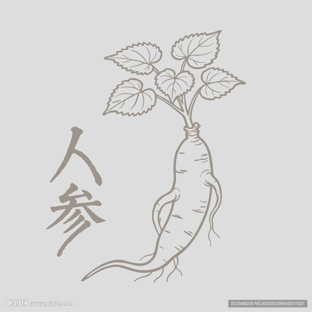 手绘人参图案