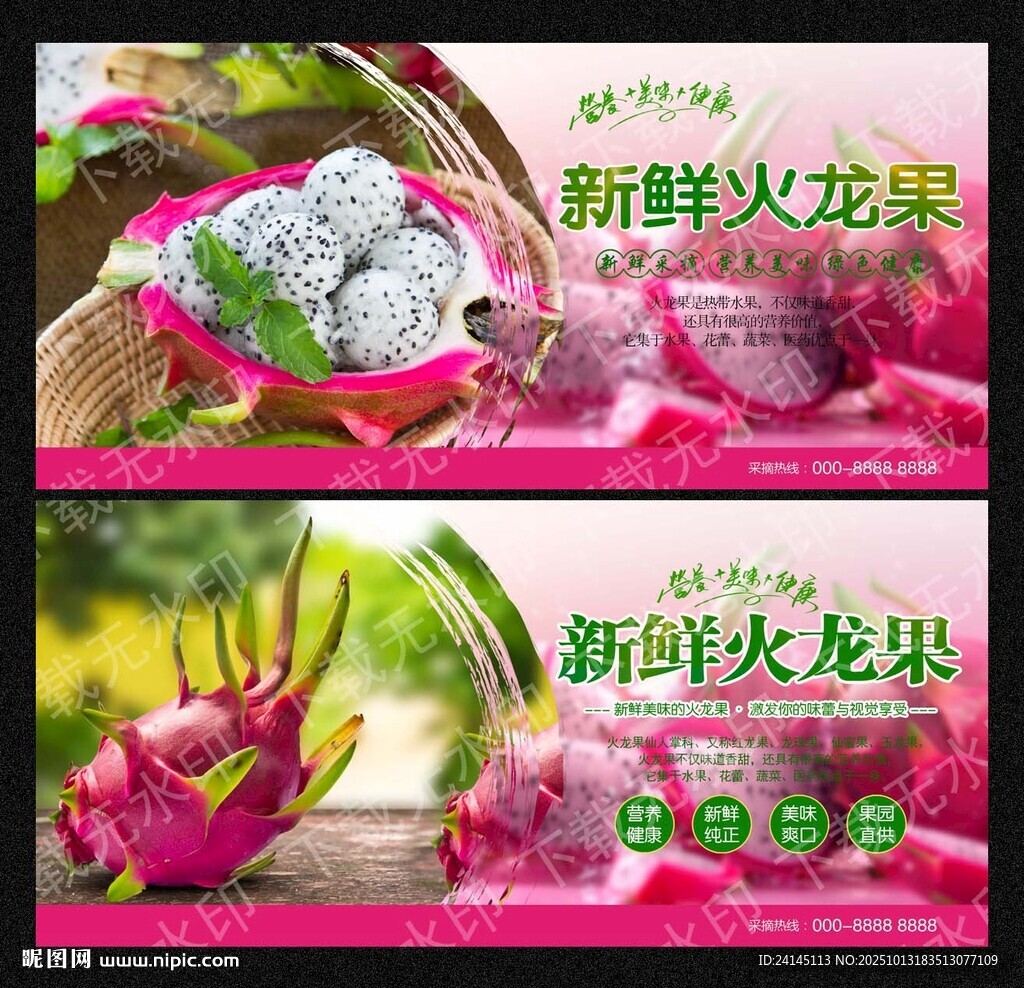 火龙果