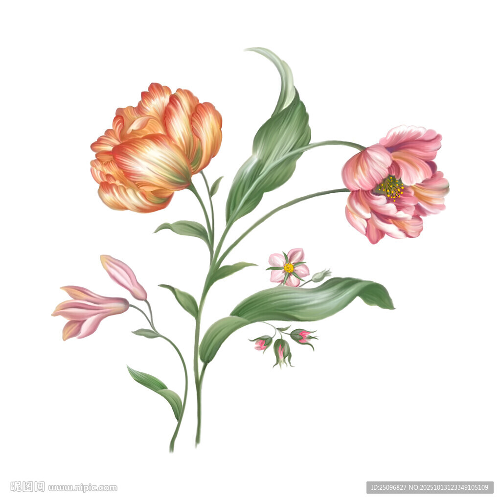 手绘花