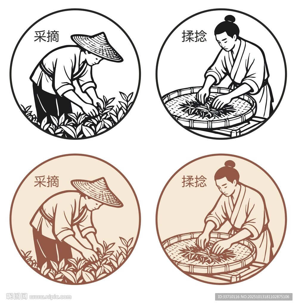 茶叶制作