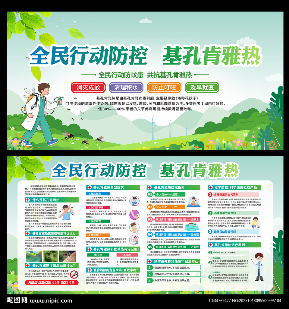 基孔肯雅热图片