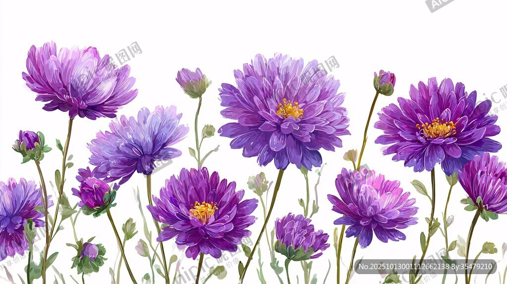 紫色雏菊花卉清新插画