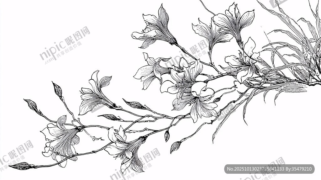 花卉线描图 优雅植物轮廓