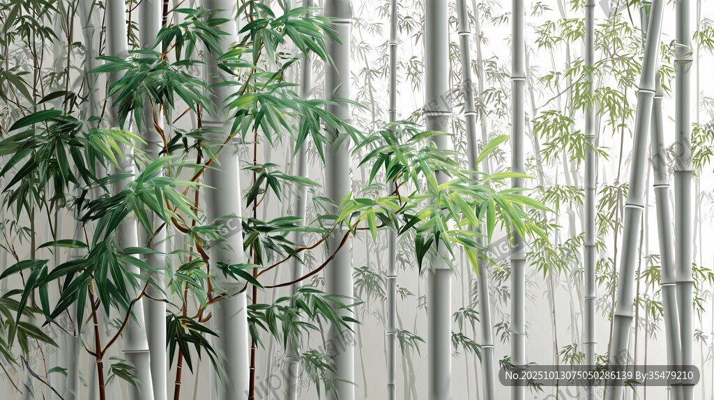 清幽竹林 绿意盎然