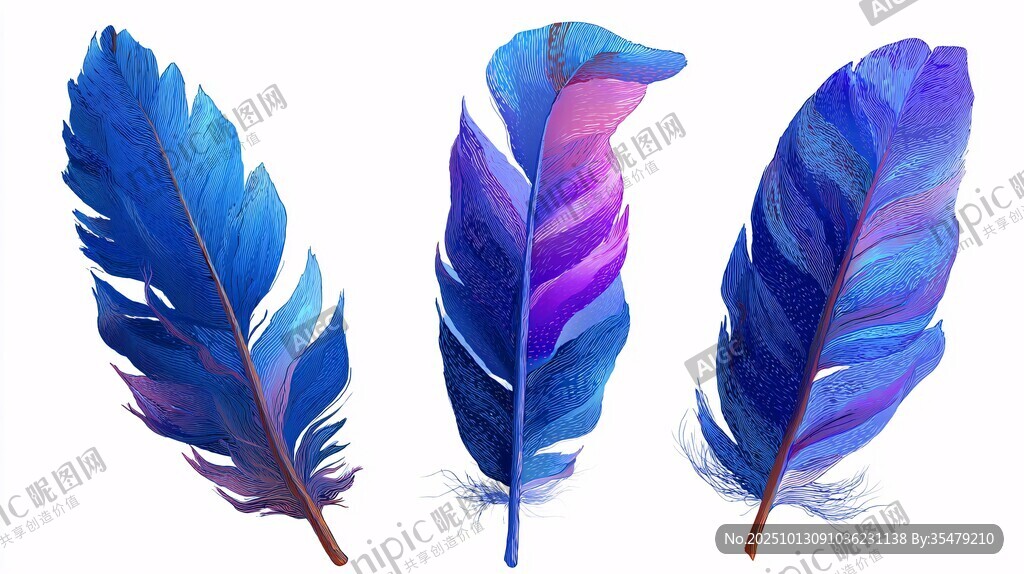 梦幻水彩羽毛插画