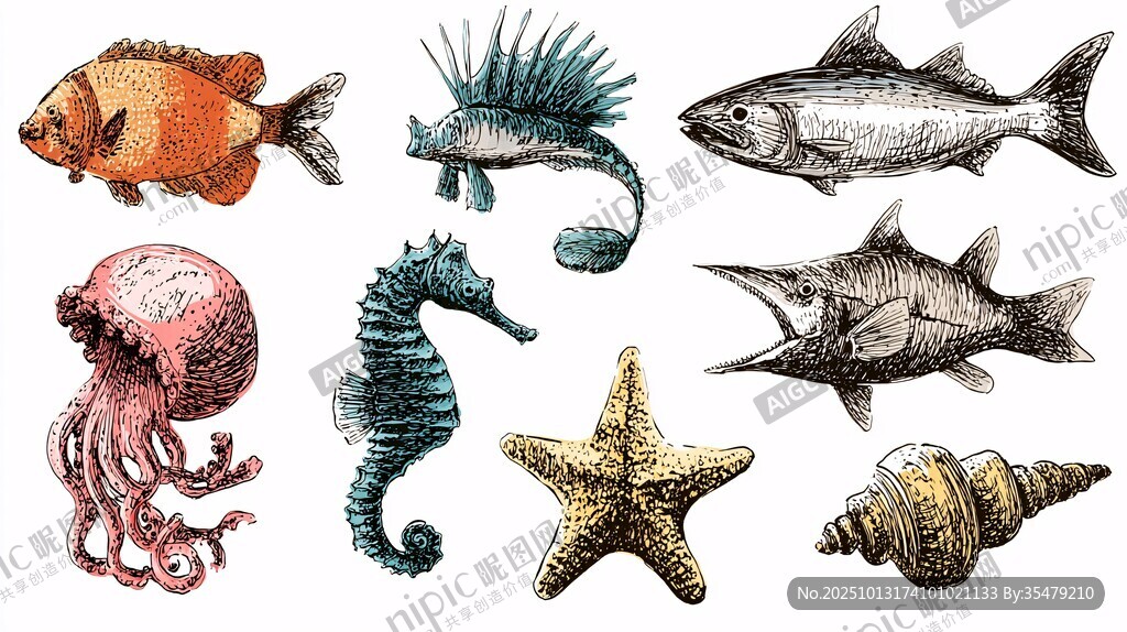 海洋生物手绘插画集合
