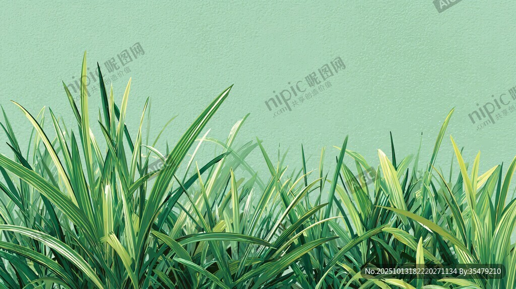 翠绿青草 清新自然风景